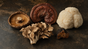 Best Functional Mushrooms for Beginners