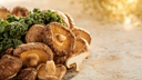 Mushroom Extracts vs Mushroom Powders: What's the Difference?