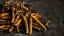 What Is Cordyceps Mushroom?