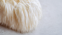 Lion's Mane vs Reishi: What's the Difference?