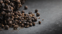 What Is Black Pepper Extract?